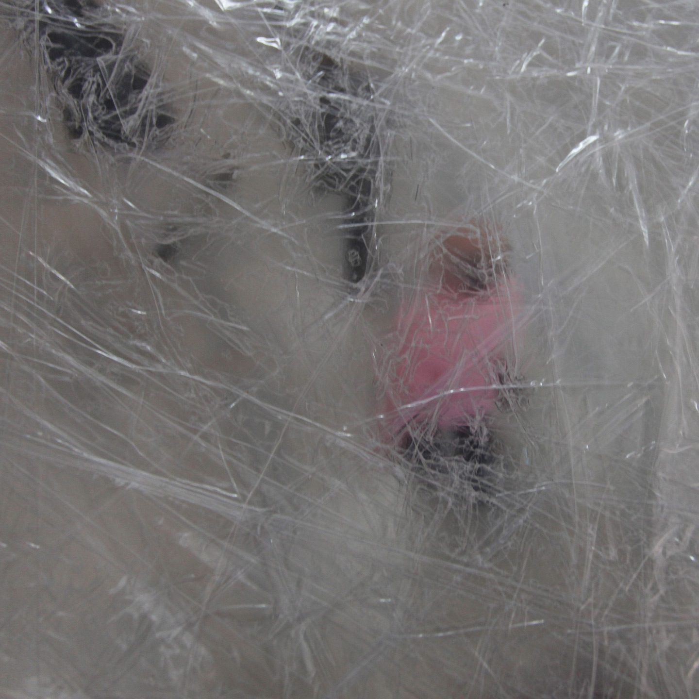 Tape Paris Installation