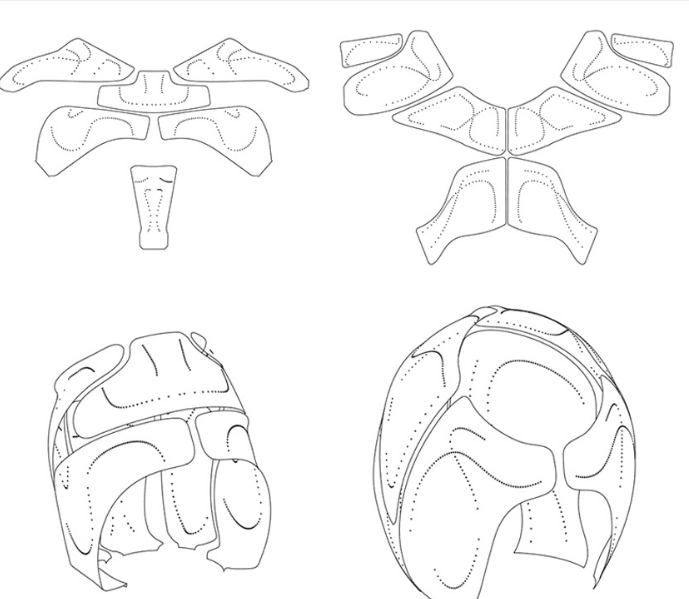 brave screenshot www.designboom.com (8)