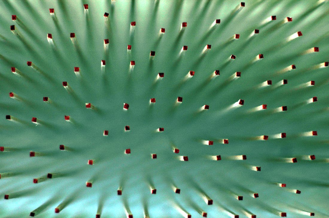 1251388949 dia 037 study model