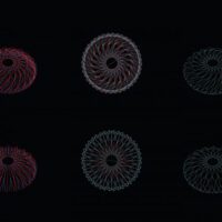 35 zoo 03c l