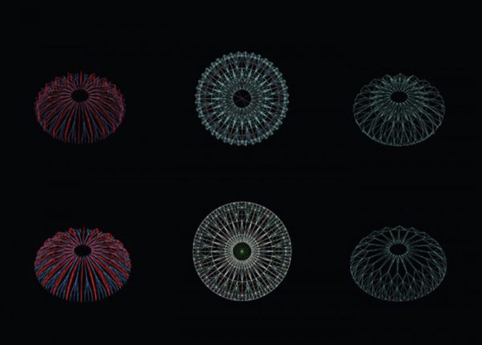 35 zoo 03d l