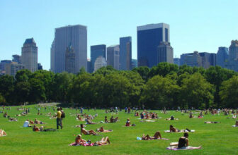 A View of the Central Park