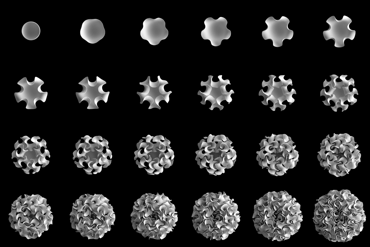 3D printed nervous system diagram edgeGrowth