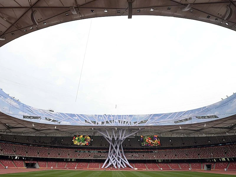 vogelnest 1440065826 zoom19 crop 800x600 800x600+88+8