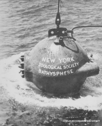 bathysphere 326x404