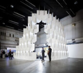 Populus WAF ®Hufton Crow 002