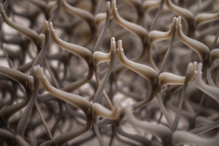 Chamber mobidetail med