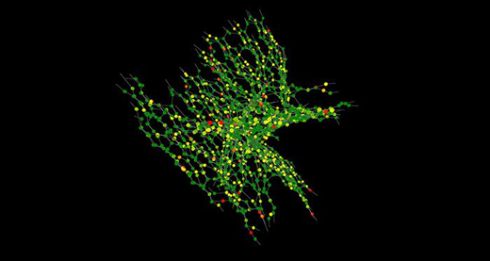 kokkugia roland snooks brass swarm 06 670