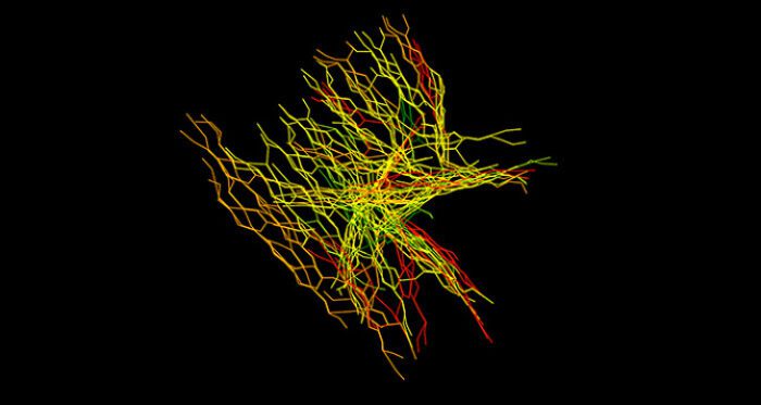 kokkugia roland snooks brass swarm 08 670