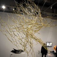 IMG 3507 670