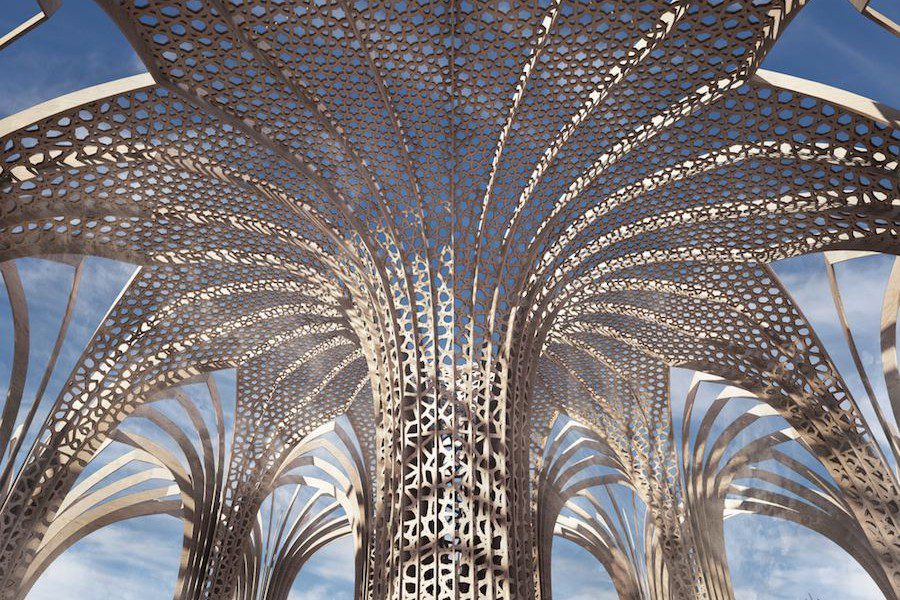 Josh Haywood Burning Man 2015 04 900x600