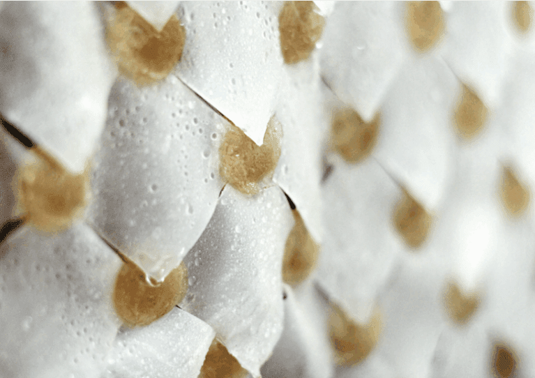 Hydromembrane |  Luisa Roth-IAAC