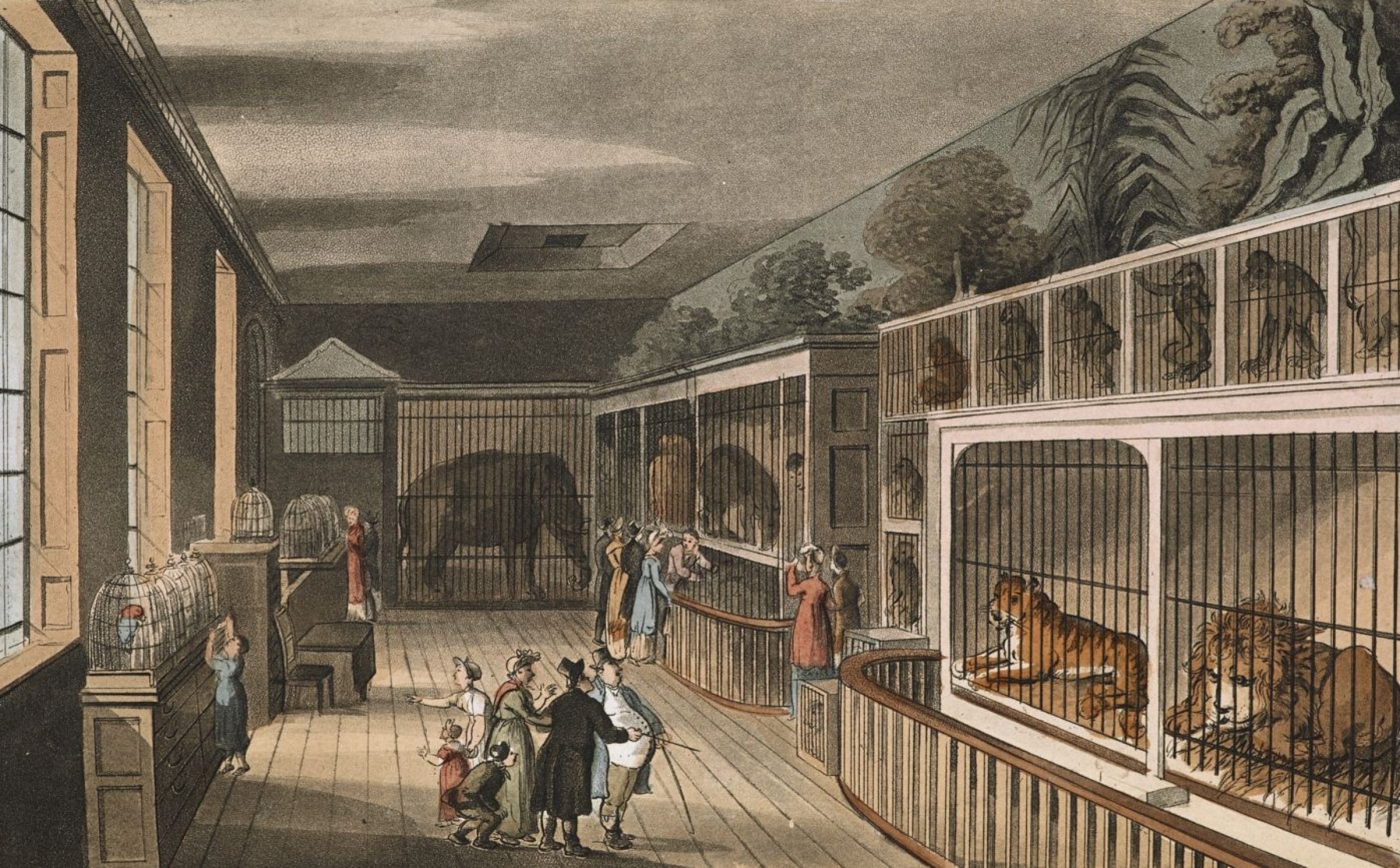 Architecture for Animals