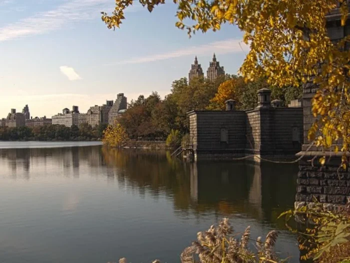 A2915 The sustainable and cultural significance of Central Park Image 11