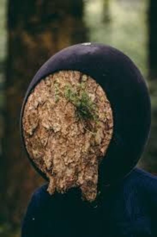 In the Eye of the Animals Teaser | A Virtual Reality Marshmallow Laser Feast