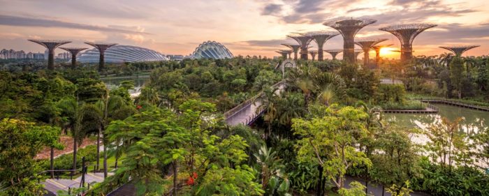 Today and Tomorrow's Sustainable Cities