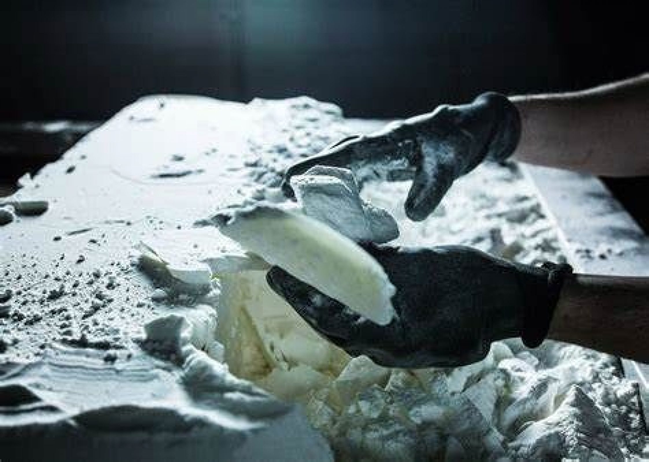 adidas ocean recycled shoes