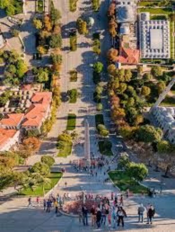 Flatland | Aydın Büyüktaş