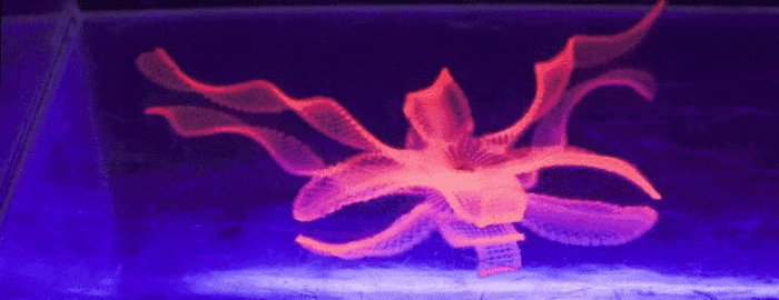 4D Printing - redefining materials and material behaviour