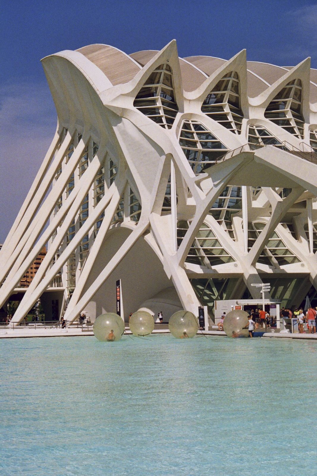 calatrava city of arts and sciences