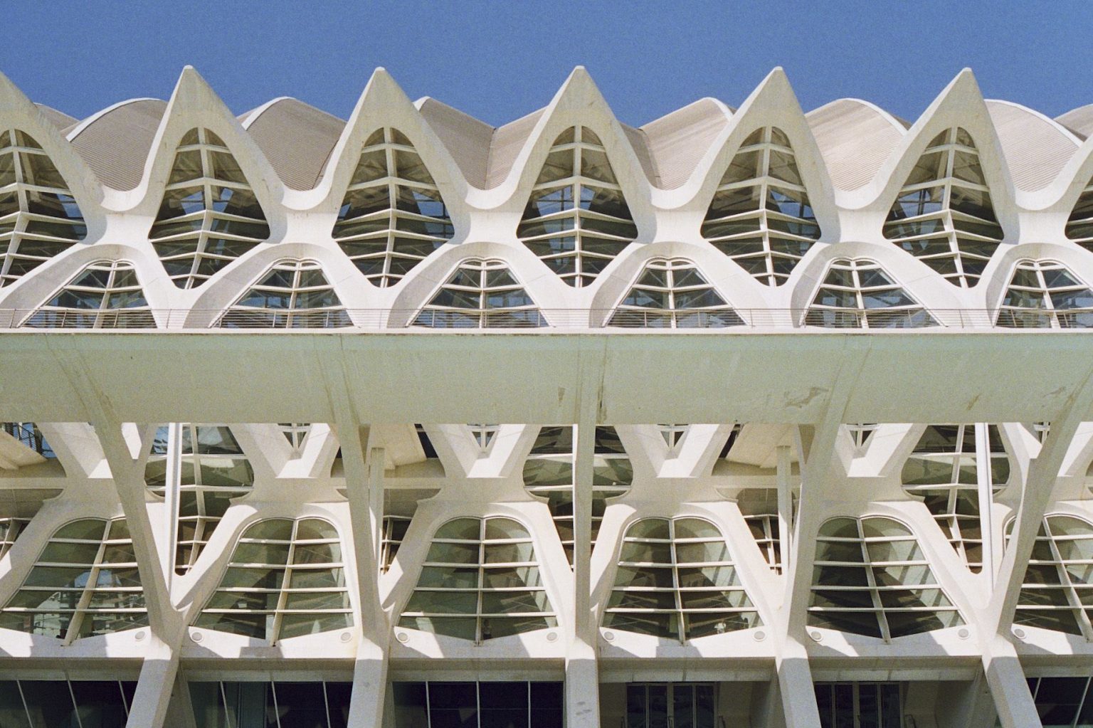 calatrava city of arts and sciences