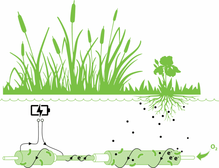 Plant e technology 1 2048x1565