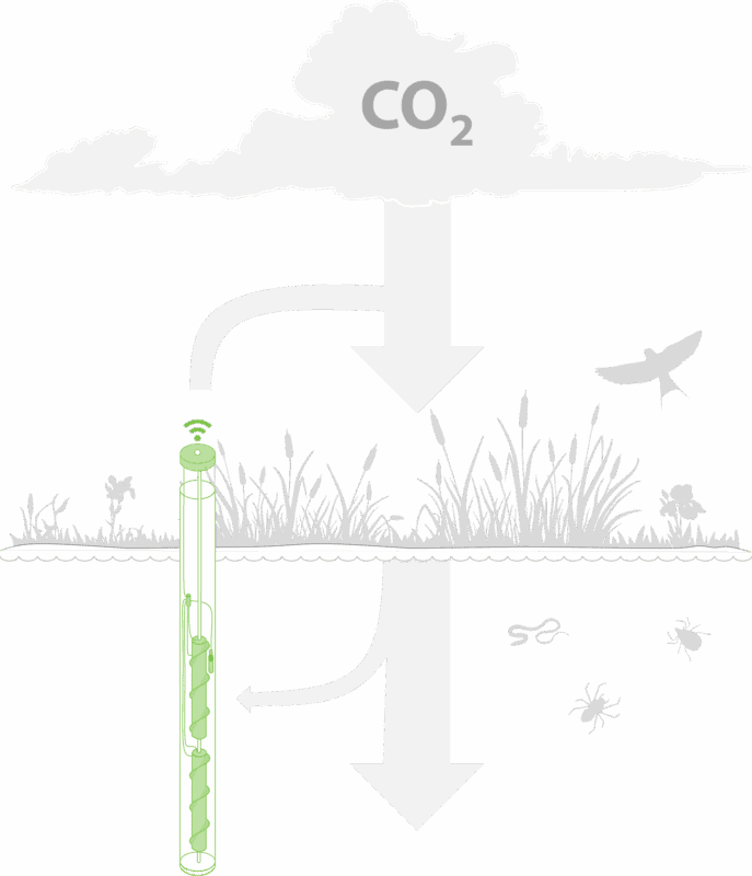 Plant e system