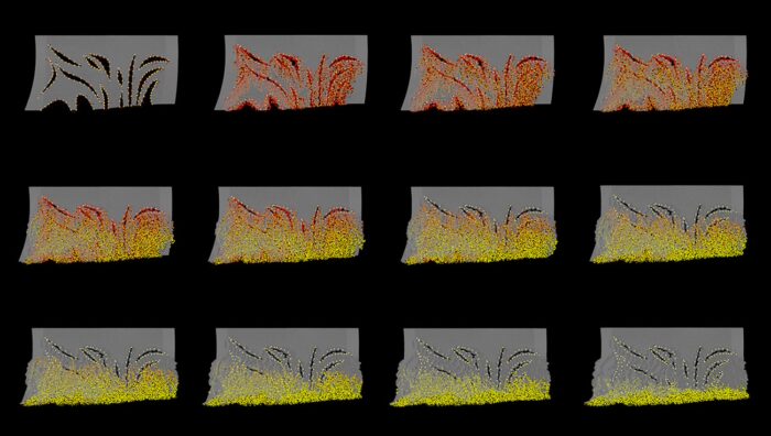 AA Summer DLAB 2016 - ORANGE