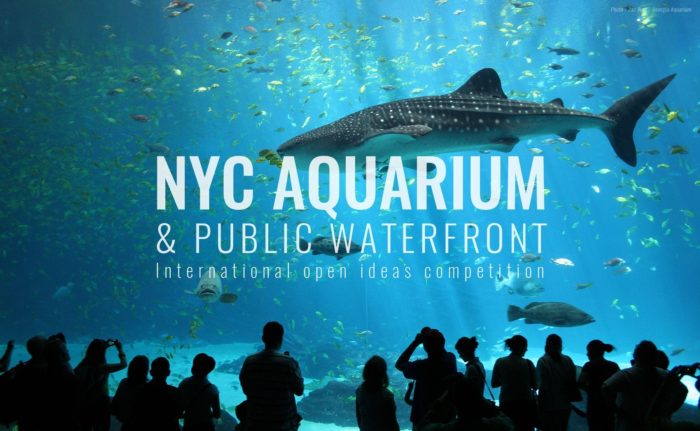 Aquarium NYC | Zuzana Kerulova & Frantisek Kudivani