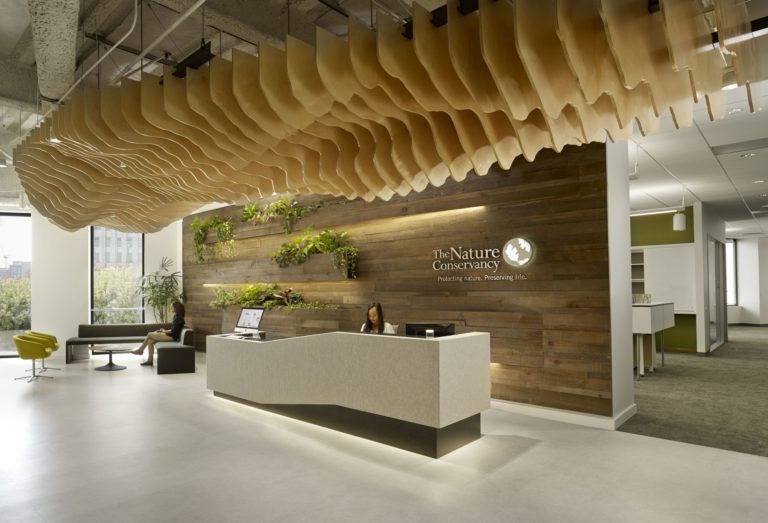 The Nature Conservancy | MKThink