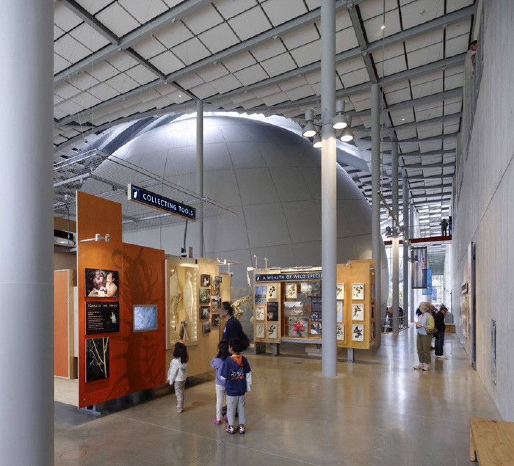 California Academy of Sciences Renzo Piano Building