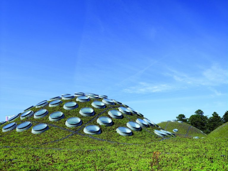 California Academy of Sciences | Renzo Piano Building Workshop Architects