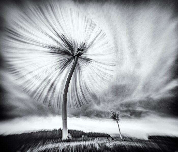 5 The Turbo Dandelion Wind Farm by Derek Snee