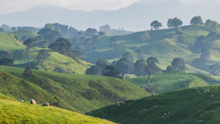 hobbiton movie set 20