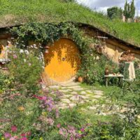 main hobbiton new zealand