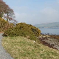 shore trail strangford lough castle ward county down