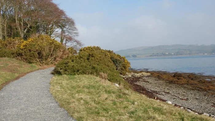 shore trail strangford lough castle ward county down