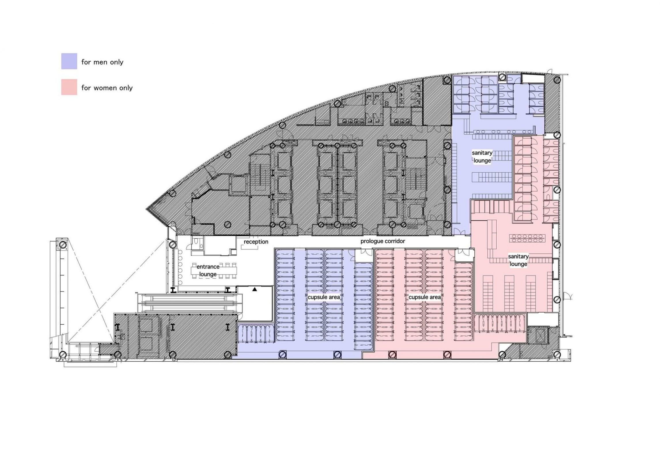 business plan for capsule hotel