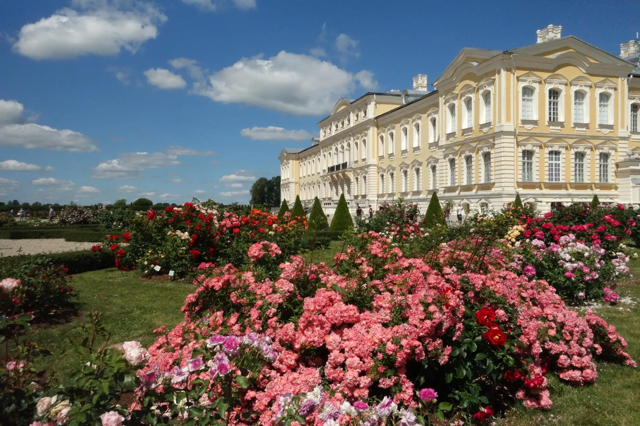 rundales pils rozu darzs i.kusina