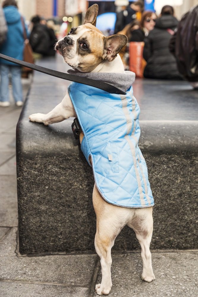 201001 NY Times Square Sn hetta N54 publication