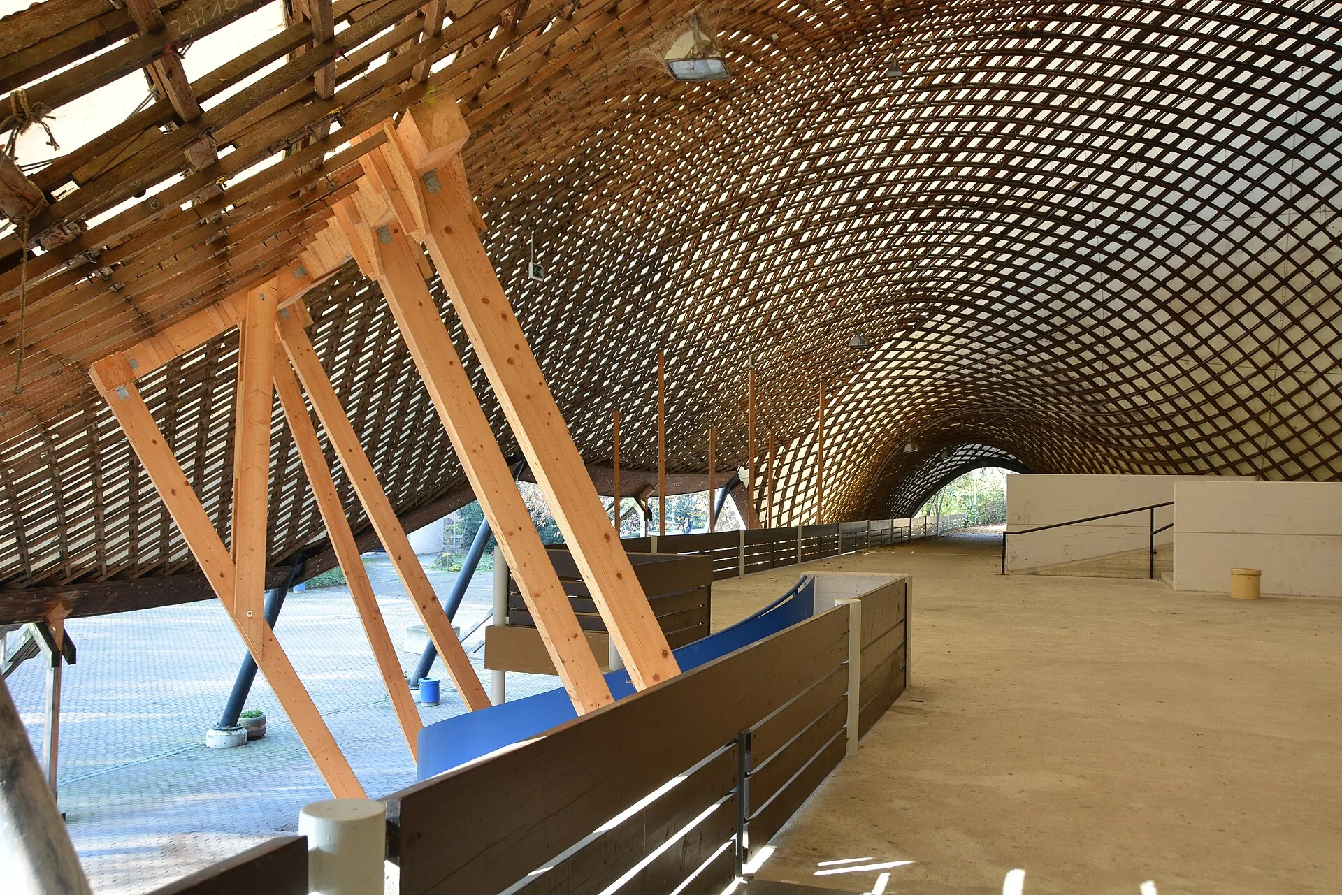 Interior of the Multihalle Mannheim: a curved timber lattice of four-sided cells resting on angled wooden supports