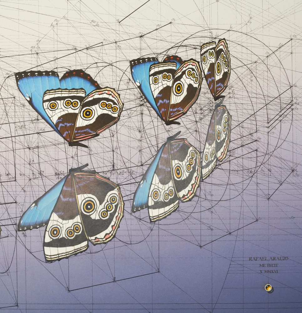 GEOMETRY MORPHO WATER MIRROR