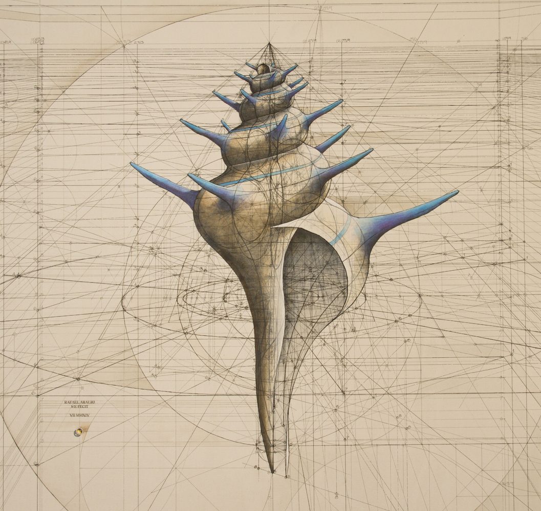 GEOMETRY SHELL( FINISHED)