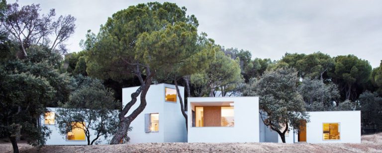 14 Sustainable Houses You Would Love to Live in