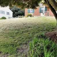 Landscaping Mistakes Arch2O