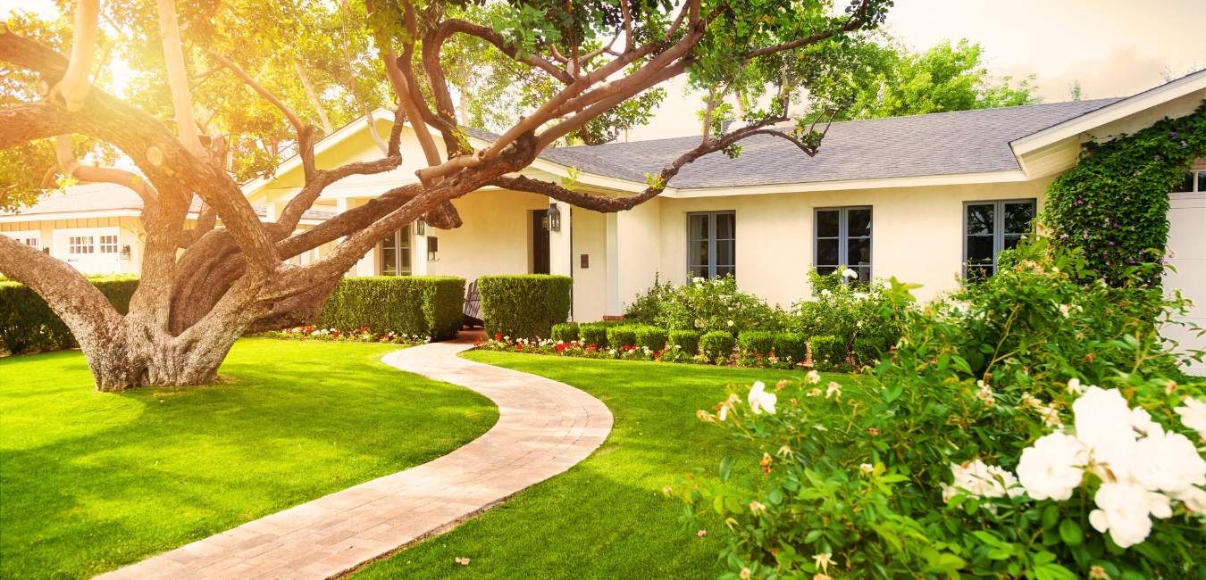 10 Landscaping Mistakes Ruining Your Garden and How to Avoid them ...