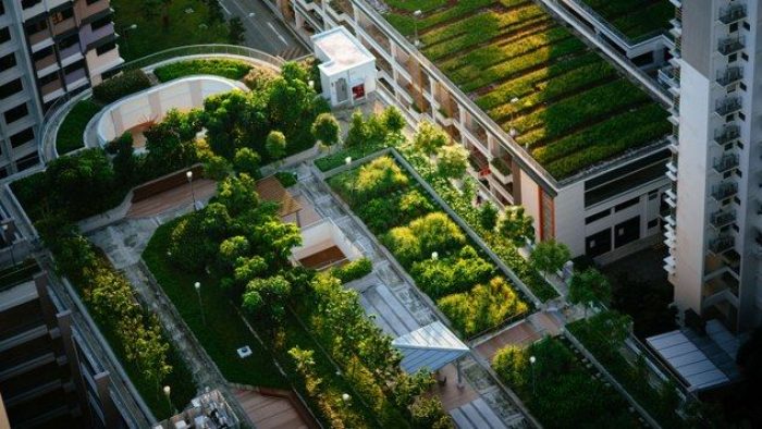 7 Reasons Why You Should Have a Green Roof - Arch2O.com : A incredible photo capturing a stunning view. The hues are bold and combination perfectly. Its layout looks wonderful, with the details are also highly clear.