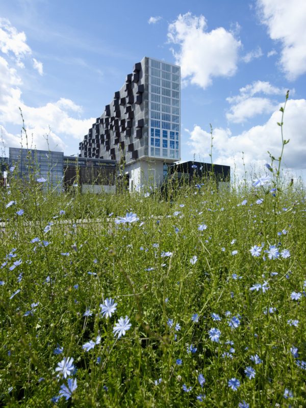 Arch2O-Schiecentrale 4b Office -Mei Architecten12