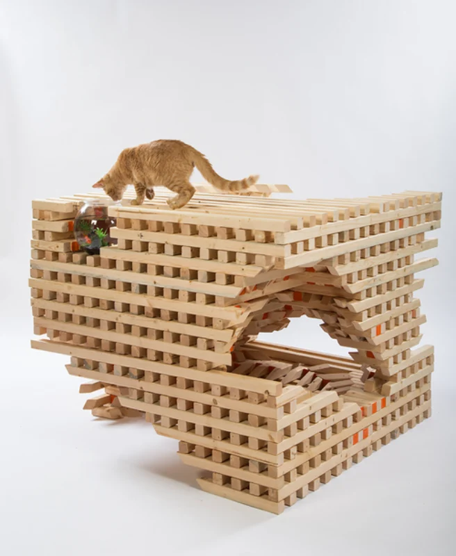 HOK photo+credit+Meghan+bob+Photography HOK photo+credit+Meghan+bob+Photography