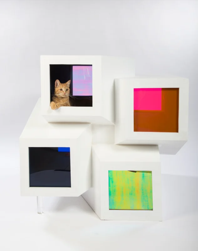 Perkins+Will photo+credit+Meghan+bob+Photography Perkins+Will photo+credit+Meghan+bob+Photography